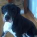 Rodney Royer - Facebook