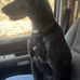 Rodney Royer - Facebook