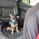 Ruth Rodney - @ruthrodney2 - Instagram