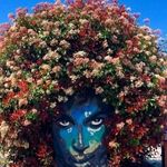 Rodney Sample - @rrs294rs - Instagram