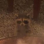 Rodney Sandoval - @rodney_sandoval2 - Instagram