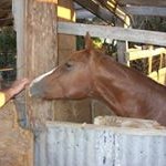 Rodney Sandoval - @rbences45 - Instagram