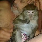 Rodney Shank - @rodney.shank.94 - Instagram