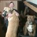 Rodney Skaggs - Facebook