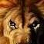Rodney Powlett - @rodneyslyvester - Instagram