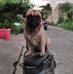 Rodney Solis - Facebook