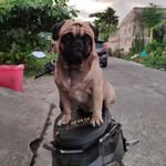 Rodney Solis - @ron_allen_2d - Instagram