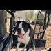 Rodney Spurlock - Facebook
