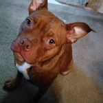 Rodney Spurlock - @spurlockrodney - Instagram