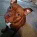 Rodney Spurlock - Facebook