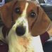 Rodney Starks - Facebook