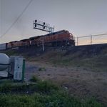 Rodney Strong - @strong1887 - Instagram
