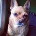 Rodney Sutherland - Facebook