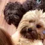 Woof Woof🐶 - @rodneytinkerbellexox - Instagram