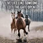 Rodney Torkelson - Facebook