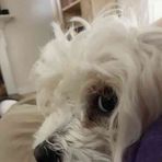 Rod Vanover - Facebook