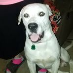 Rodney Vanover - Facebook
