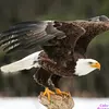 rodneywalls72 - @rodneywalls72 - TikTok