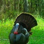 Rodney Weeks - @rod.5252 - Instagram