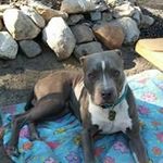 Rodney Whitfield - @rodney.whitfield.948 - Instagram