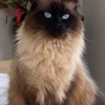 Rodney Whitmire - @whitmire.rodney - Instagram