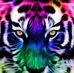 Rodney Williamson - Facebook