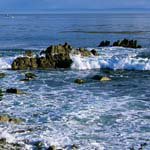 Rodney_Winters - @rodney_wintersf - Instagram