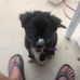 Rod Woolley - Facebook