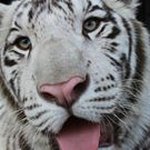 Rodolfo Aparicio - @rodolfo4278 - Instagram