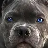 Rodolfo Camacho - @rodolfo.camacho48 - TikTok