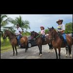 Rodolfo Celis Q - @rodolfo.celis - Instagram
