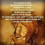 Rodolfo Reyes Celis - @fitoreyesc - Instagram