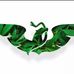 Rodolfo Sanchez Celis - Facebook