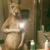 Rodolfo Cerda - @rodolfo.cerda6 - TikTok