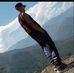 Rodolfo Clemente - Facebook