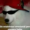 Rodolfo Cordero - @elvato327 - TikTok