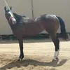 rodolfocordero87 - @rodolfocordero87 - TikTok