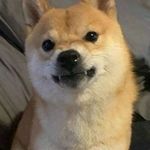 Rodolfo Esteban Alonso - @rodesteza - Instagram