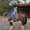 rodolfo esteban - @rodolfo._esteban - TikTok