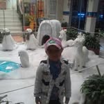 Rodolfo Gamboa - @gamboa_rodolfo - Instagram