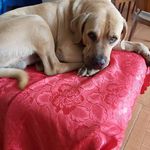 Rodolfo hidalgo leiva - @rodolfo.leiva_hidalgo - Instagram