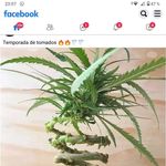 Rodolfo Naranjo - @rodo.lfonaranjozamorsno - Instagram