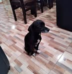 Rodolfo Naranjo - Facebook