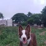 Rodolfo Ortiz - Facebook
