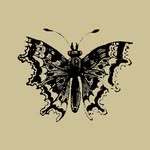 Rodolfo Ortiz - @mariposamundial - Instagram