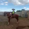 Rodolfo Parga - @rodolfo.parga3 - TikTok