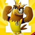 Rodolfo Robles - @rodolfo.robles.313 - Instagram