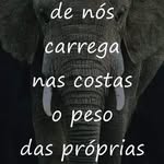 rodolfo serra - @rodolfoserra5 - Instagram