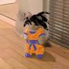 Rodolfo Solano - @rodolfosolano09 - TikTok