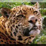 Rodolfo Solano Morales - @rodolfosolano - Instagram